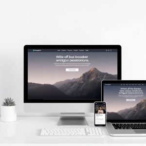 WordPress eStore Custom Package